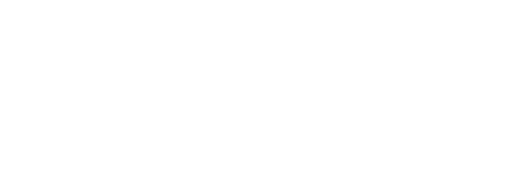 Revealio software and media solutions logo